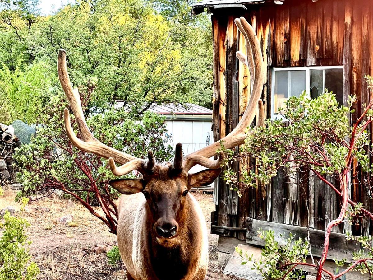 Hidden Gem Retreat In The Heart Of Payson Villa Bagian luar foto